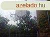 Streetball kosrlabda llvny, fix, 1,65 m benylssal S-SPO