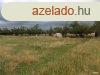 Deszk, ptsi terlet | Deszken, ptsre, gazdlkodsra, v