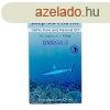 Dr. Chen Omega-3 Mlytengeri Halolaj kapszula (60 db)