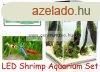 Aquael Shrimp Smart Nano Led Day & Night Akvrium Komple
