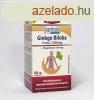 Jutavit ginkgo biloba 120mg + magnzium 150mg 50 db