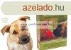 Lavet Multivitamin Mit Algen - Vitamin Ksztmny (Algs) Ku