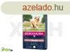 Eukanuba Senior Large Lamb & Rice kutyatp 12kg