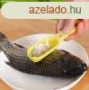 Halpucol, halpikkelyez, haltisztt