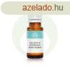 Brazliai eukaliptusz - Eucalyptus staigeriana illolaj - 10