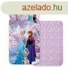 Disney Jgvarzs Snowy ovis gynem