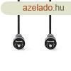 Nedis optikai audi kbel, TosLink dug, hossz 2m, CAGL25000
