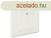 DeLock Keystone Wall Outlet 2 Port compact