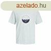Frfi rvid ujj pl Jack & Jones cobin Akvamarin Men M