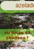 Isa Schneider - Mi jsg az erdben?