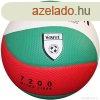 Rplabda 5-s mret, piros-fehr-zld ? WINART IKAROS VC-720