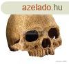 Exo Terra Primate Skull - koponya