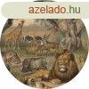 Animals of Africa - Afrika llatai tapta