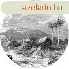 Landscape of Guadeloupe - Guadeloupe tjkp tapta