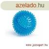 Kutya apport jtk--Tsks Labda