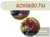  Labda 23 cm - Pkember