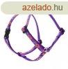Lupine Roman hm (Spring Fling 1,25 cm szles 23-35 cm)