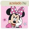 Disney Minnie kztrl,arctrl