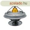 Termosztt Fendt F824200050060