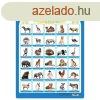 Beszl ABC s Szmok ? Interaktv Oktat Fali Poszter Gyere