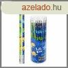 Dns grafitceruza radrral 10 db ZT51201310