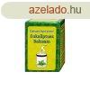 GARUDA AYURVEDA EUKALIPTUSZ BALZSAM
