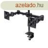 Manhattan LCD Monitor Mount with 2 Double-Link Swing Arm