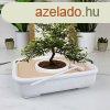 A bonsai mvszete szett