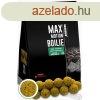 HALDORD MAX MOTION Boilie Premium Soluble 24 mm - des Ana
