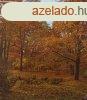 szi erd ris poszter POSZ702