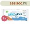 5x WATERWIPES Nedves trlkendk, manyagmentes 60 db ( 300 