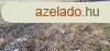  2300 nm-es telephely KIAD