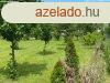 Elad Zamrdiban hatalmas ptsi telek