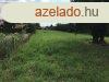 Hvzen 3.093 m2-es ptsi telek elad