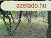 Elad telek, Zalaegerszeg