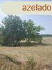 Elad 1531 nm-es Egyb Tborfalva