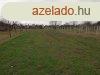 Elad 1384 nm-es Egyb Albertirsa