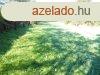 Csendes helyen ptsi telek elad! - Kaposvr