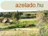 Elad telek Alsjlak, 	ALSJLAKON ELAD  3ha TERLET!!!
