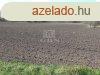 Elad telek Kecskemt, 	Cegldi t kzelben