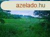 Elad fldterlet Mny, 	Aszfaltos t mellett!