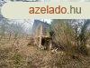 Elad fldterlet Zalaszentgrt, 	Pince elad nagy terlette