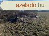 Elad trsashz Martf, 	Martf ipari terlet kedvez ron