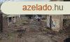 Elad trsashz Pcs, 	Pcs
