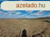Mezgazdasgi birtok | Zknyszk  -i rszn 12,5 ha fld 