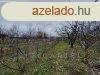 Termszet kzeli ptsi telek elad Blcskn!
