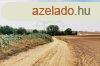 AKCIS RON! Tz hektros fldterlet elad Blcskn!