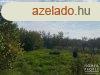 Elad zrt kert Hdmezvsrhelyen!