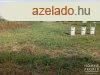 Elad telek Szeged-Szentmihly!
