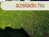 BALATONGYRKI lakvezeti ptsi telek ELAD! - Balatongy